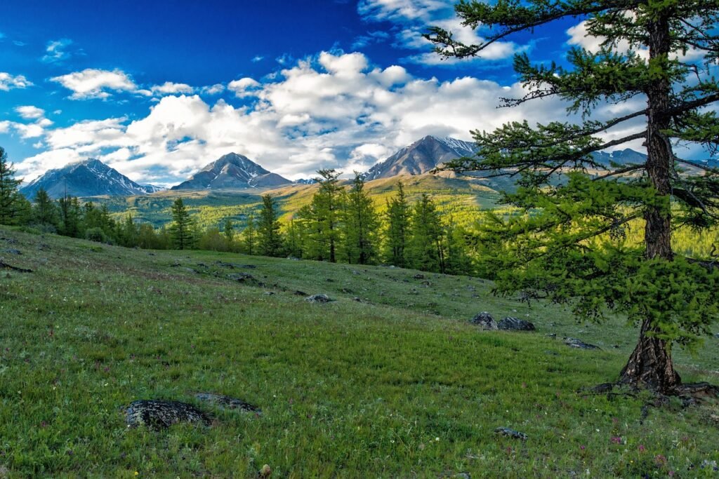 landscape, mountain, mongolia the russian border mountains, fax the northwest part, nature, mongolia